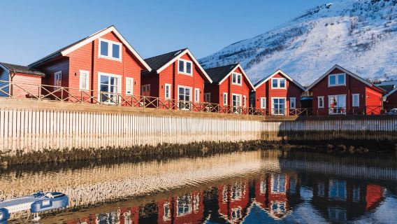 Lyngen: Schneemobil-Safari mit Mittagessen in einem Restaurant am Meer