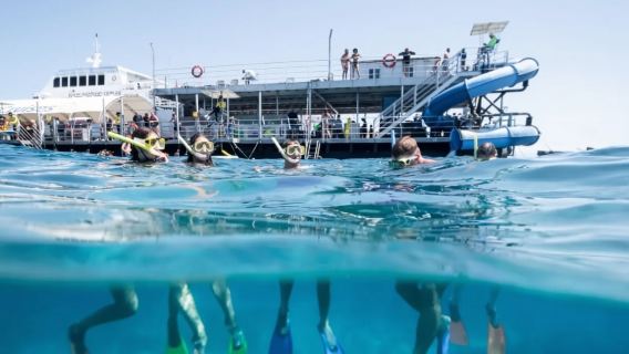 Tagesausflug zum Moore Reef mit der Sunlover Reef Cruise in Cairns und dem Great Barrier Reef [Chinesisch- und Englischsprachiger Service/Mahlzeiten inbegriffen]