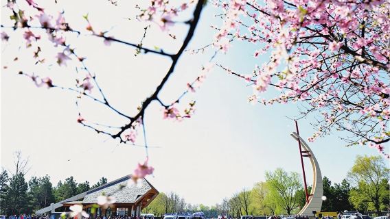 偽滿皇宮+長影舊址+凈月潭【十佳·導遊·耳機講解·特色吉菜】