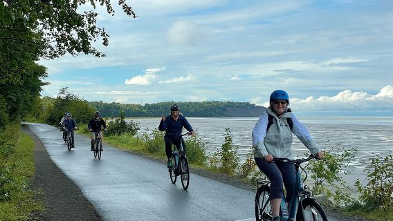 Viator Exclusive: Go eBike Alaska on Tony Knowles Trail