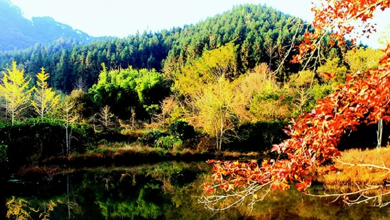 2人起私人導覽帽子峰珠璣古巷一日遊韶關上門接送