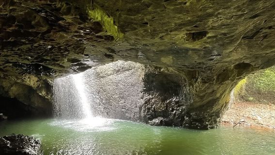 Springbrook