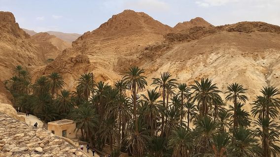 Half-day excursion the mountain oases from Tozeur