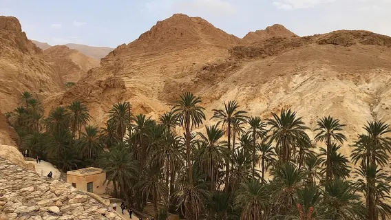 Chuyến tham quan nửa ngày đến các ốc đảo trên núi từ Tozeur