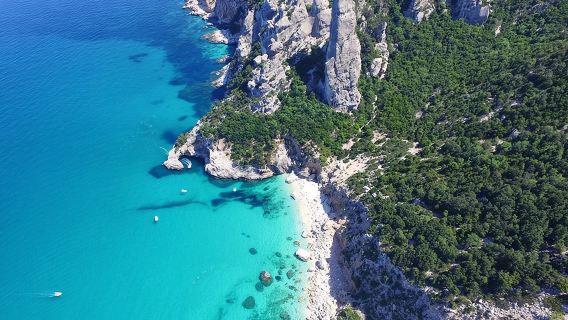 One day guided boat tour along the Baunei coast.