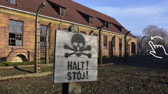 Krakow: Auschwitz-Birkenau Guided Tour with Hotel Transfer