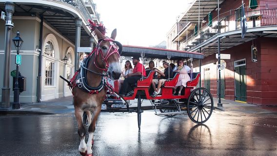 New Orleans French Quarter and More Carriage Ride