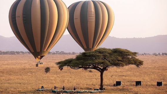 Extraordinary Hot air Bolloon ride in Serengeti | BURIGI CHATO SAFARIS CO L.T.D