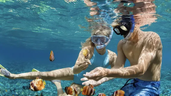 2-Hour Snorkeling Experience in Nusa Penida, Bali