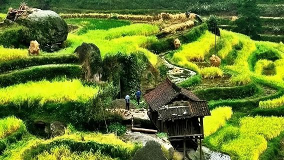 Liuzhou + Rongshui Yubu Miao Village attraction(3A) + Mengwu Miao Village / Multilingual guide@