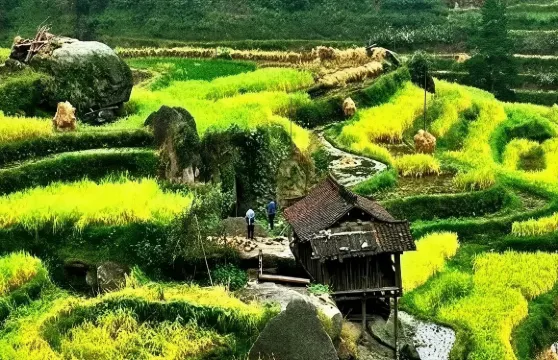 柳州+融水雨卜苗寨景區（3A）+夢嗚苗寨/多國語言導遊@