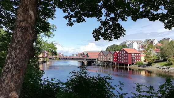 Trondheim: scopri la città dei re con una guida locale