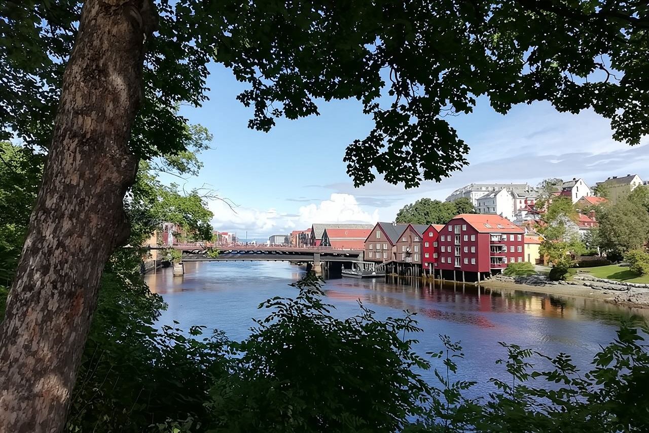 Trondheim: scopri la città dei re con una guida locale