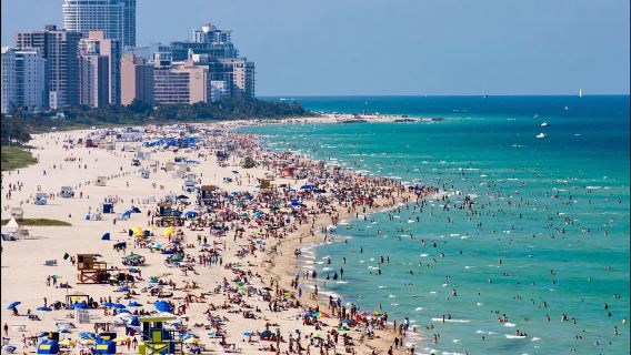 Excursion d'une journée à Miami : Découverte cinématographique et balade en bord de mer