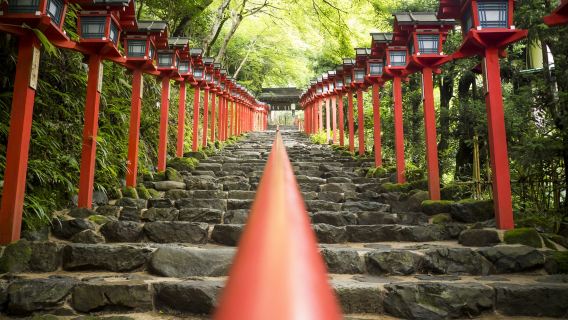 貴船神社+三千院+貓貓寺一日遊【中文司機包車遊】