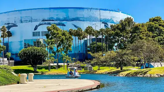 Swan Boat Rental at Rainbow Lagoon in Long Beach