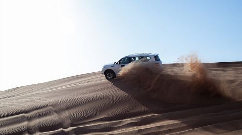 Dubai Morning Red Dunes 4WD Safari & Camel Ride Day Tours 9
