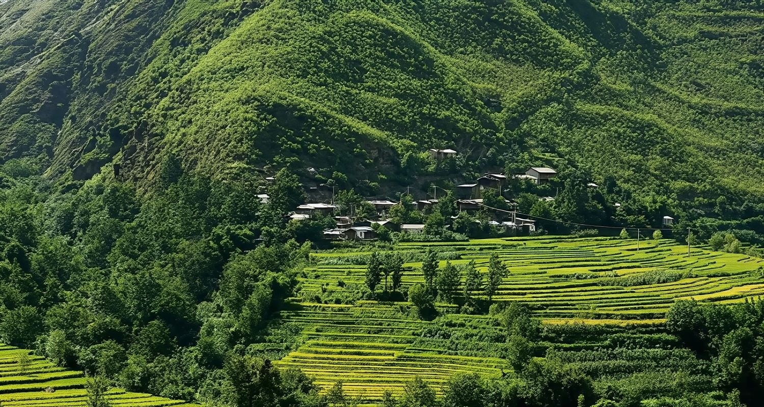 Meili (Meri) Snow Mountain, Baima Snow Mountain, Feilai Temple and Benzilan Village Private Tour