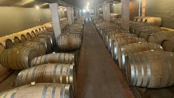 ประสบการณ์ชิมไวน์ในสเตลเลนบอช ฟรานช์ฮก และพาร์ล