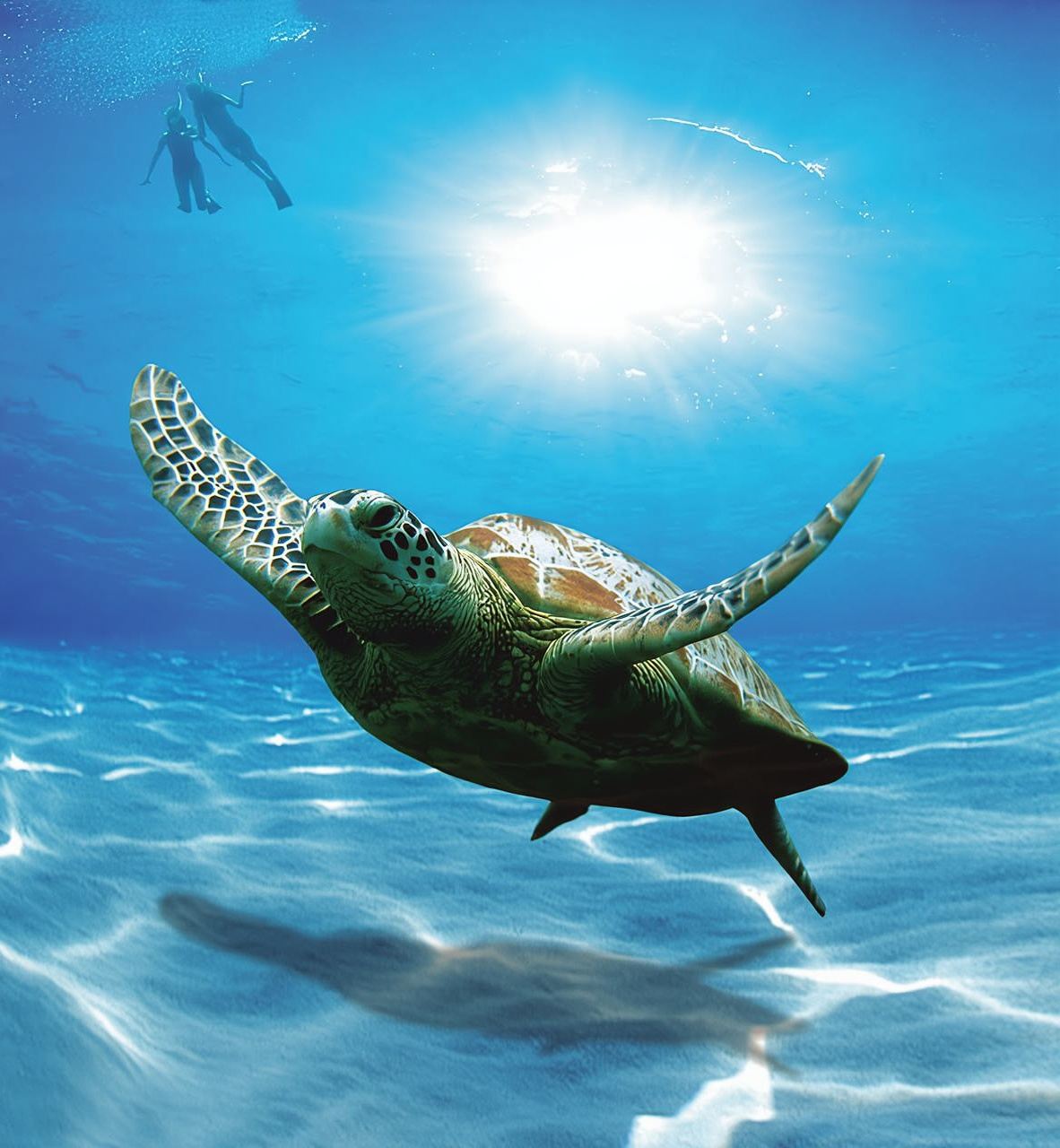 Perjalanan Bandar Al Khayran: Tur Grup dengan Snorkeling