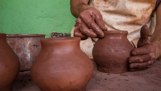 Ab Puerto de La Cruz: VIP-Tagestour nach La Gomera