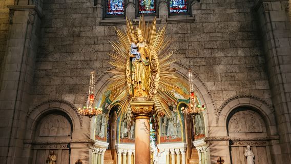 Quebec City: Montmorency Falls & Ile d'Orleans Half-Day Tour