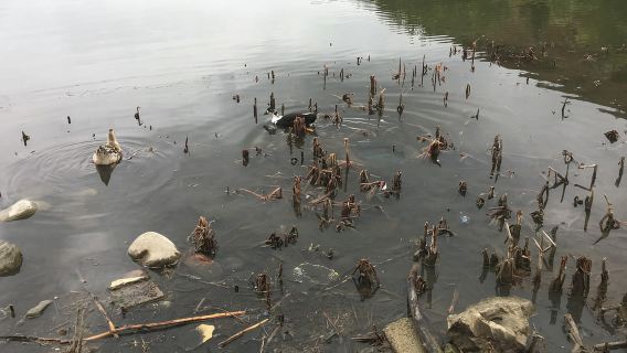 Tiflis: Herrlicher Wanderweg über der Stadt