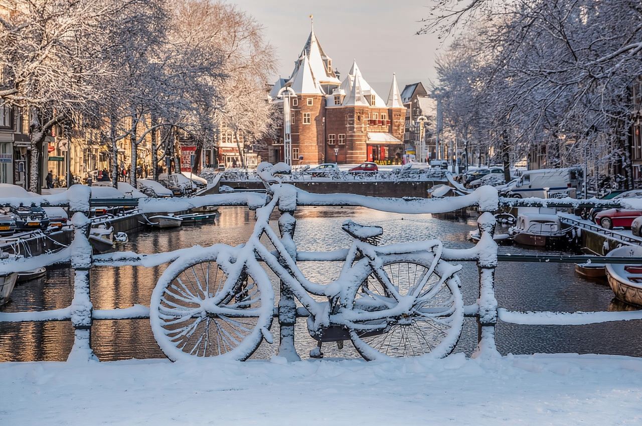 Amsterdam Light Festival Winter Walk & Stroopwafel Workshop