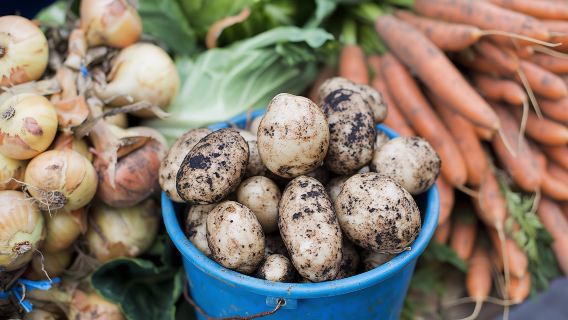 Discover Galway's local gastronomy on a self-guided audio tour