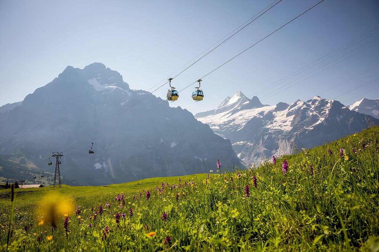 Zurich: Private Jungfraujoch & Thrilling Velogemel Adventure