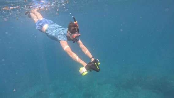 Tenerife: Tur Kayak dengan Hewan dan Skuter Bawah Air