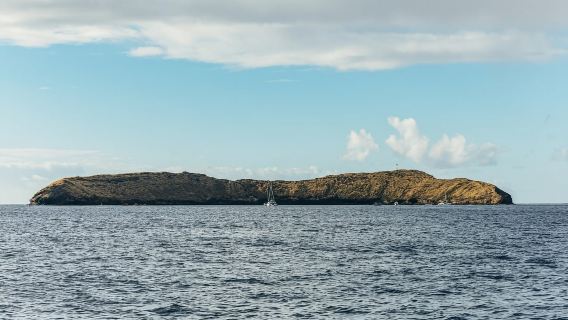 Sur de Maui: Excursión de snorkel a Molokini y Turtle Town con comida incluida