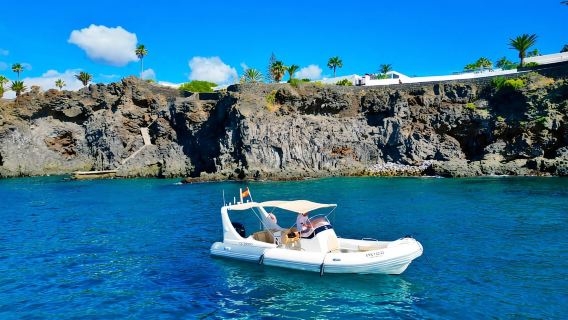 Pelayaran Matahari Terbenam yang Hebat di Tenerife: Pengalaman Ajaib