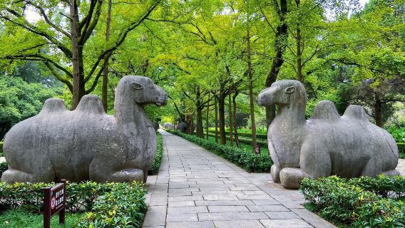 Business vehicle | English-speaking guide | Dr. Sun Yat-sen's Mausoleum + Meiling Palace + The Ming Tomb + Nanjing Confucius Temple + Zhan Garden