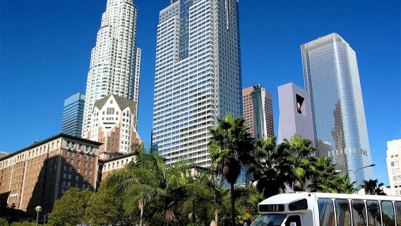 LA City, Hollywood, Griffith, and Beach Tour