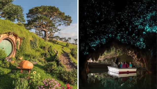 Hobbiton & Waitomo Caves Day Tour with Lunch from Auckland