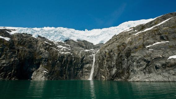 From Whittier: Glacier Quest Cruise with Onboard Lunch