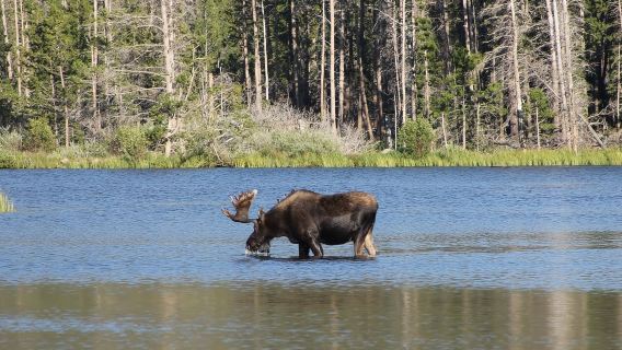 Estes Park : Randonnée vers les cascades