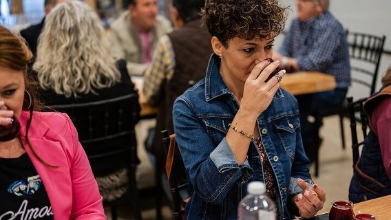 Jaén Descubre los Secretos del Aceite de Oliva: Tour y Cata Sensorial