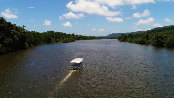 Cairns: Daintree Rainforest Wildlife Experience Cruise