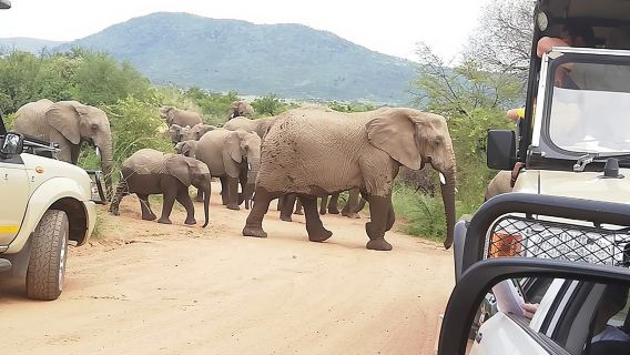 3 days Kruger National Park end with panaroma