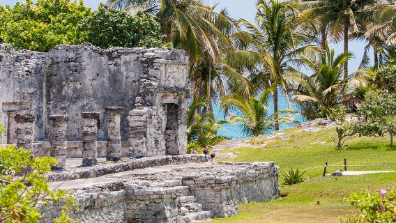 Magical adventure to Tulum, a giant sculpture and cenotes. Lunch included