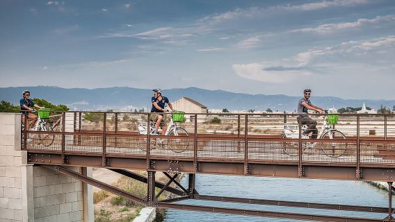 Tour en bicicleta eléctrica por Cagliari: Golfo, canales y flamencos en Molentargius