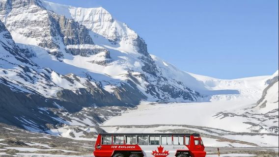 Canadian Rockies Columbia Icefield Day Tour (Depart from Calgary)