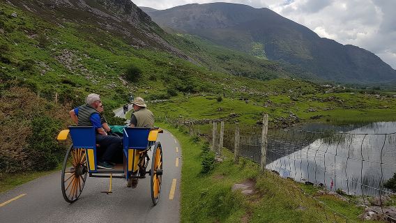 Bus, Boat & Jaunting Cart Tour (Jaunting Cart Paid Separately)