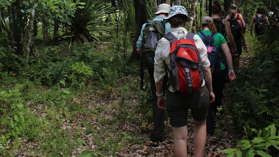 Mauritius Ebony Forest and hiking tour