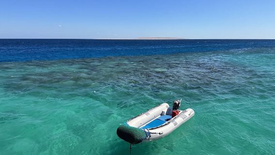エジプト 紅海ワンデーツアー 紅海クルーズ ボートダイビング体験 サンゴと魚群 カップル向けアクティビティ