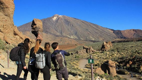 Santa Cruz de TenerifeTours