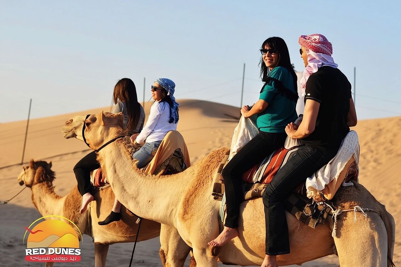 Excursiones de safari por el desierto de Dubái (mañana y tarde)