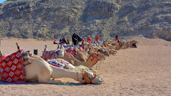HurghadaExperiences